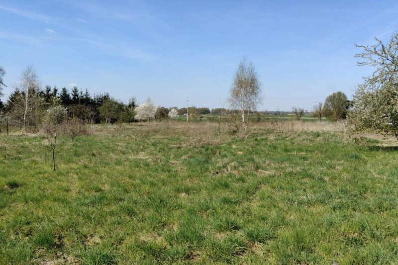 Działka w Dziekanowicach 4900 m² nad j. Lednickim