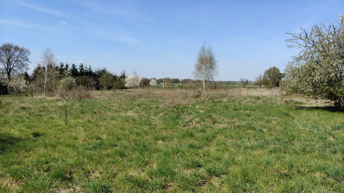Działka w Dziekanowicach 4900 m² nad j. Lednickim, zdjęcie 6